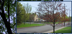 Ottawa Home Builder: Homes in Westboro - Luxury living in a green neighbourhood - Byron House Eastward View